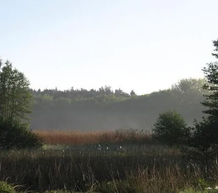 Fewo Ferien Am Schweriner See Flessenow Exterior photo